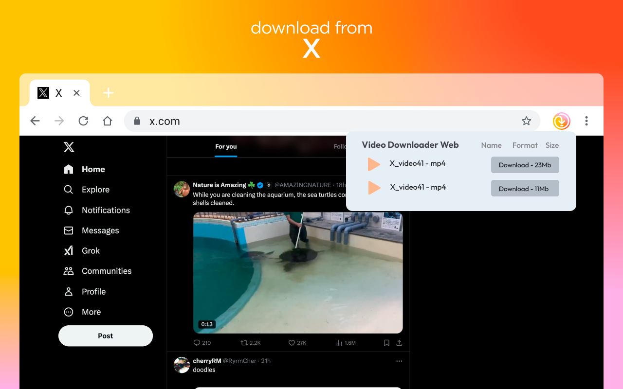 Video Downloader for Web скриншот 2