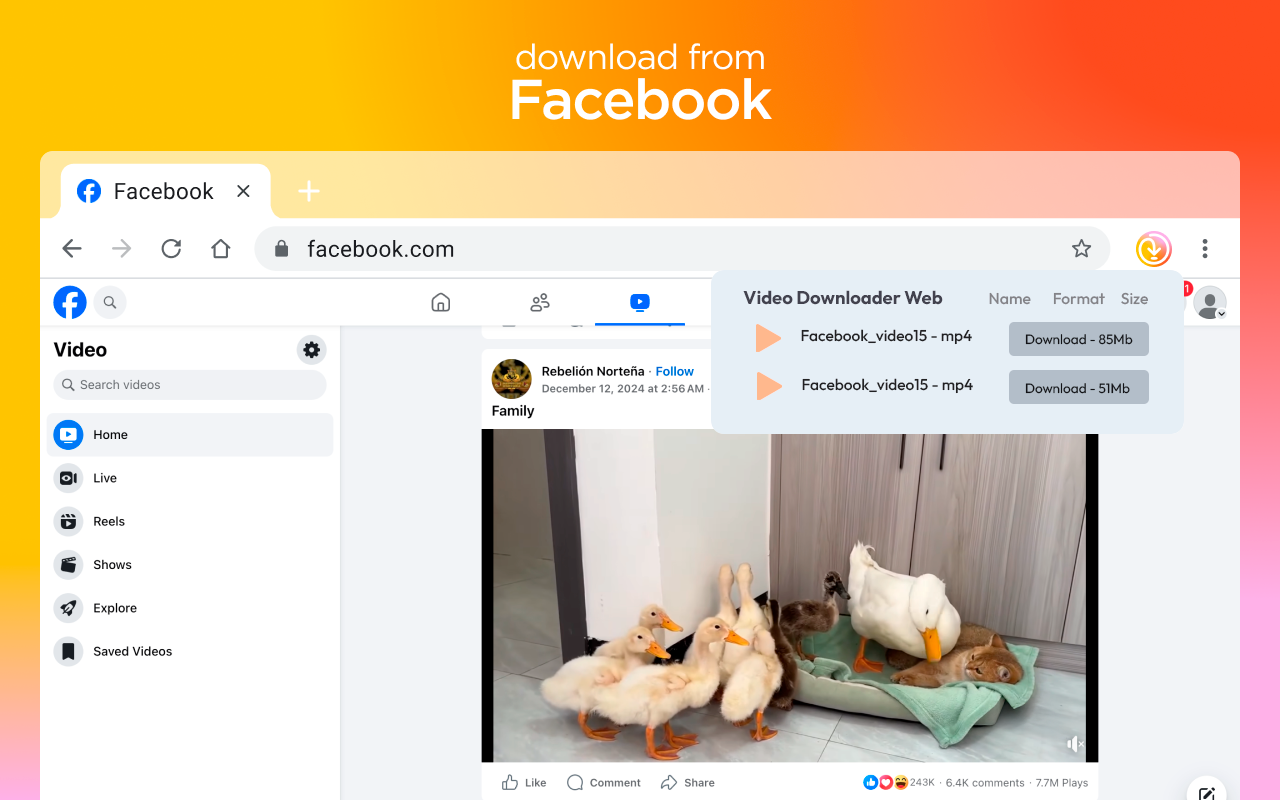 Video Downloader for Web скриншот 3