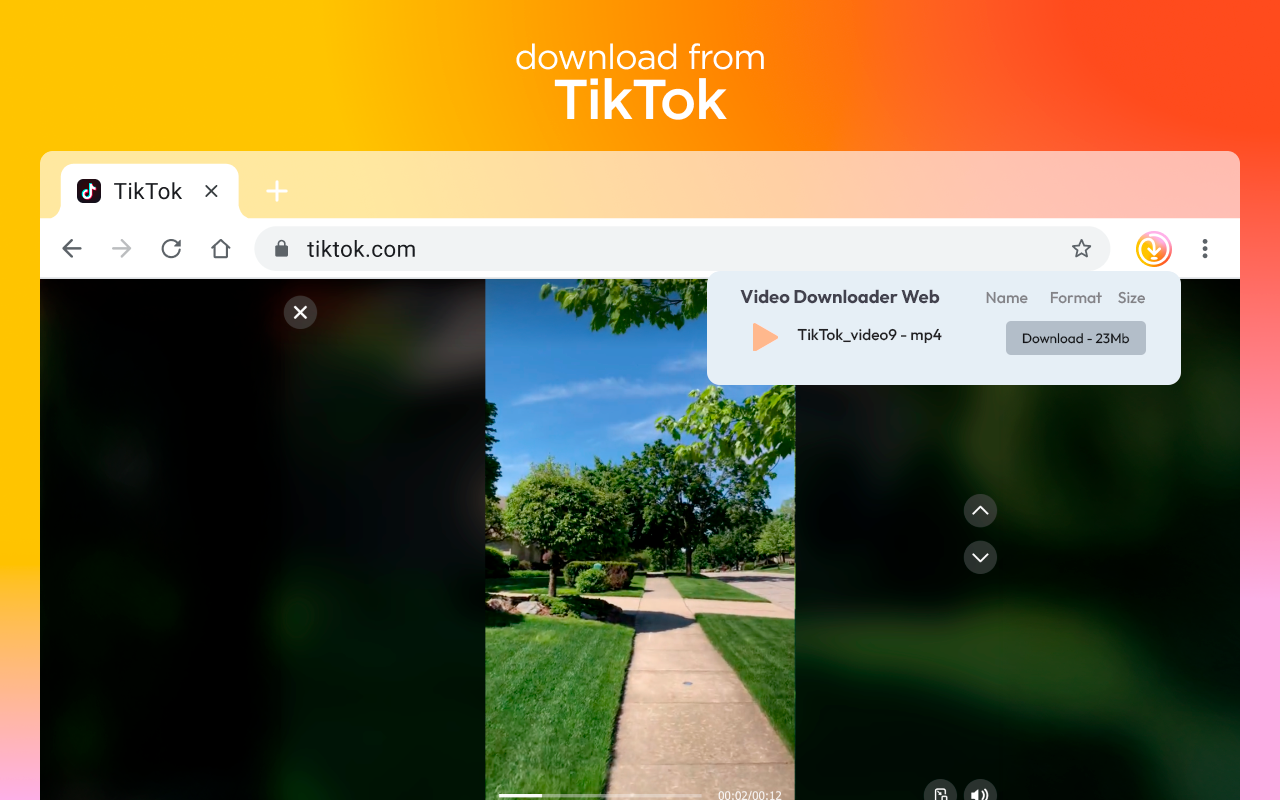 Video Downloader for Web скриншот 4