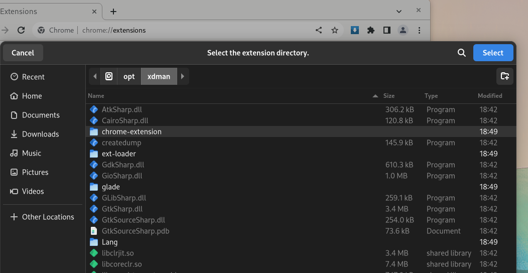 Xtreme Download Manager скриншот 4