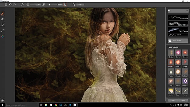Corel ParticleShop: подробное руководство по Particle-кистям, интеграции, версиям и ограничениям скриншот 7
