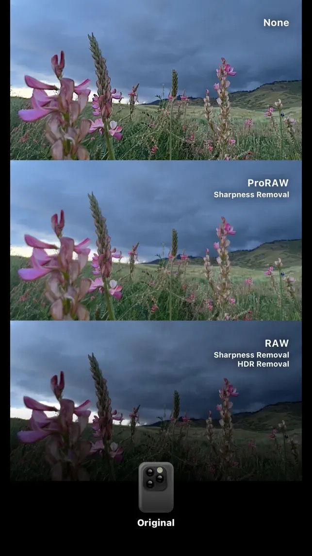 Dazz Cam скриншот 3