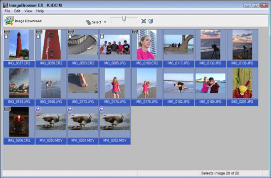 Canon ImageBrowser EX: подробный обзор интерфейса, импорта, каталогизации, редактирования и ограничений скриншот 4