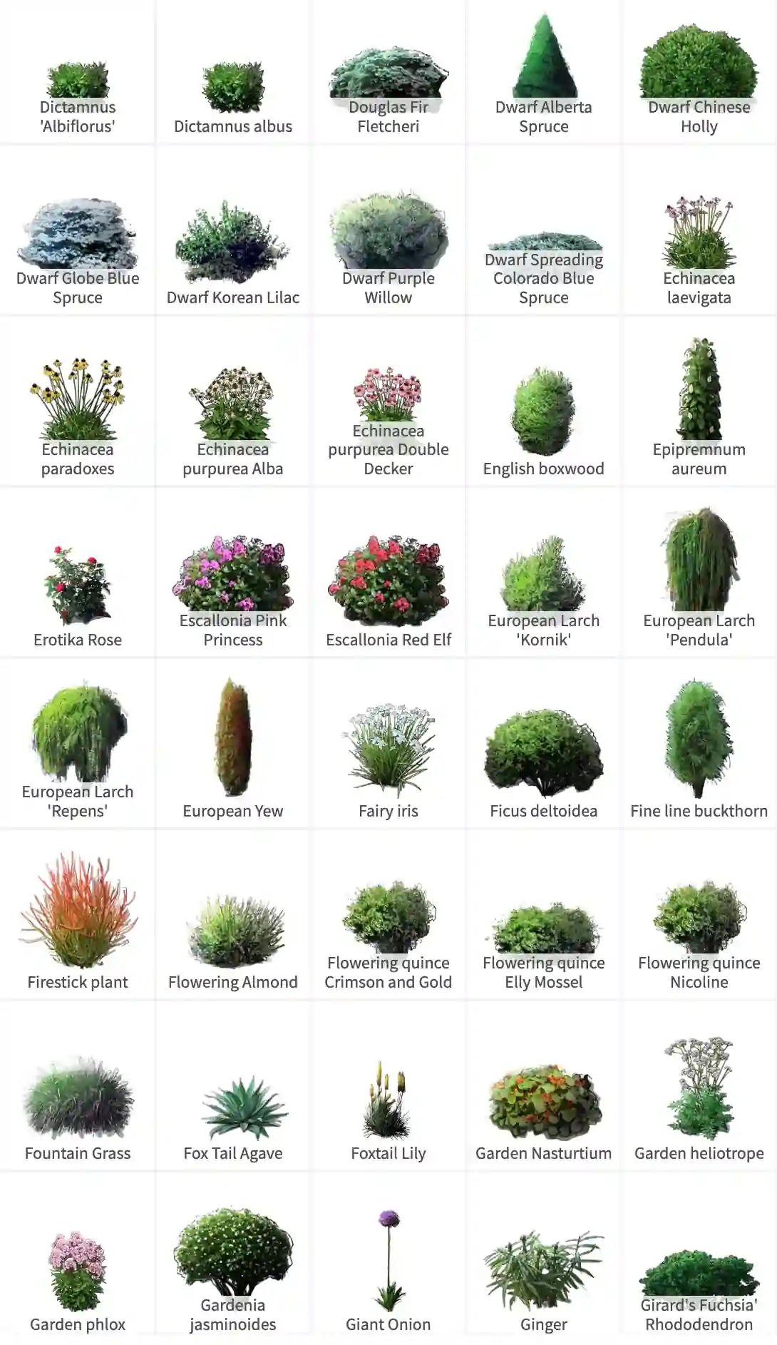 gardenpuzzle.com скриншот 4
