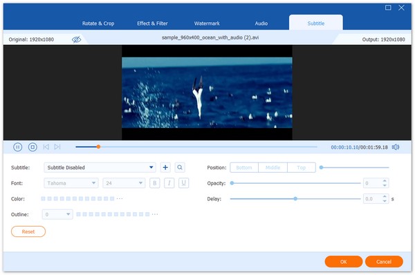 AnyMP4 Video Converter скриншот 10