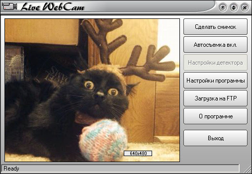LiveWebCam скриншот 2