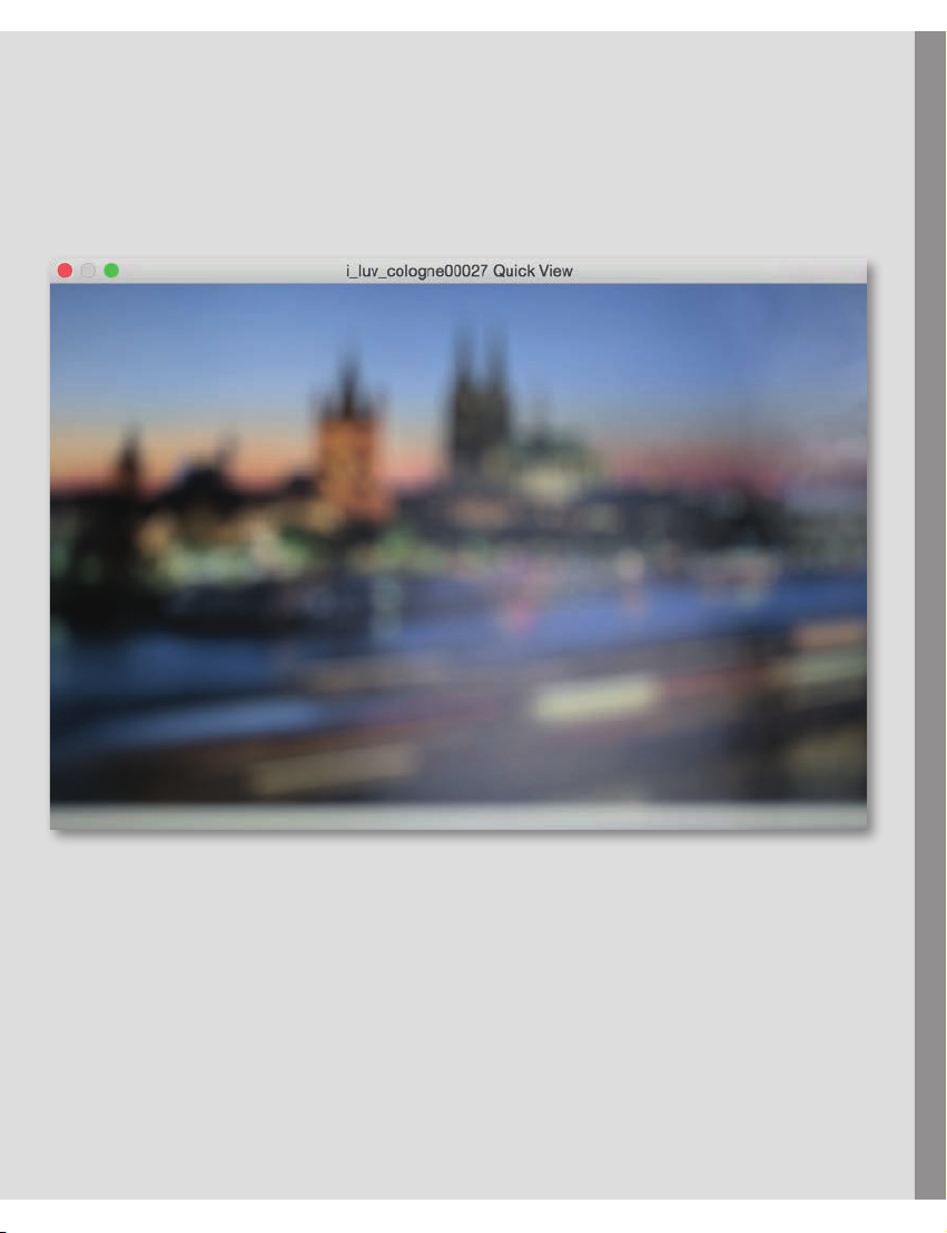 Leica Image Shuttle 3.8: подробный обзор дистанционной съёмки, передачи DNG/JPG и студийного процесса скриншот 3