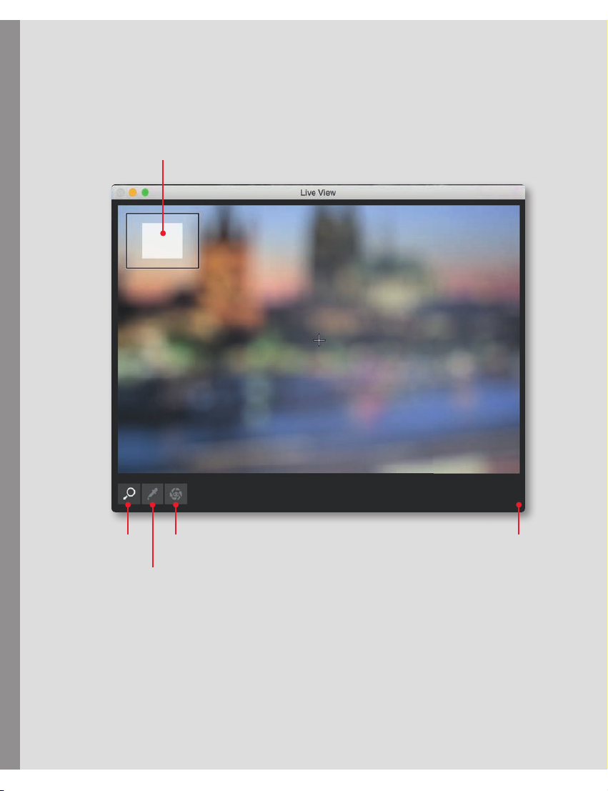 Leica Image Shuttle 3.8: подробный обзор дистанционной съёмки, передачи DNG/JPG и студийного процесса скриншот 4