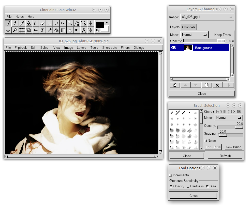 CinePaint скриншот 5