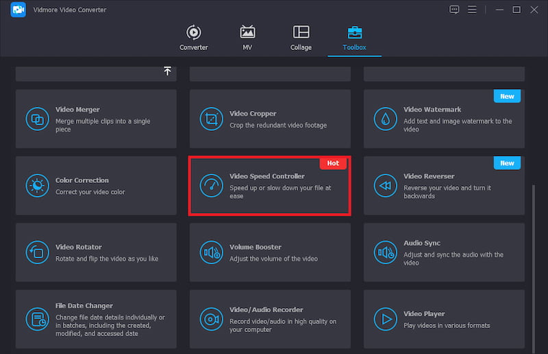 Vidmore Video Converter скриншот 9