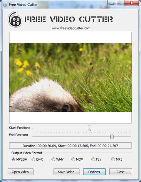 Online Video Cutter скриншот 4