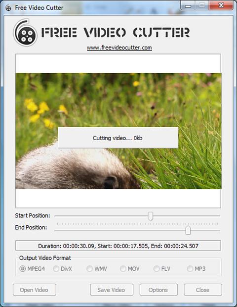 Online Video Cutter скриншот 5