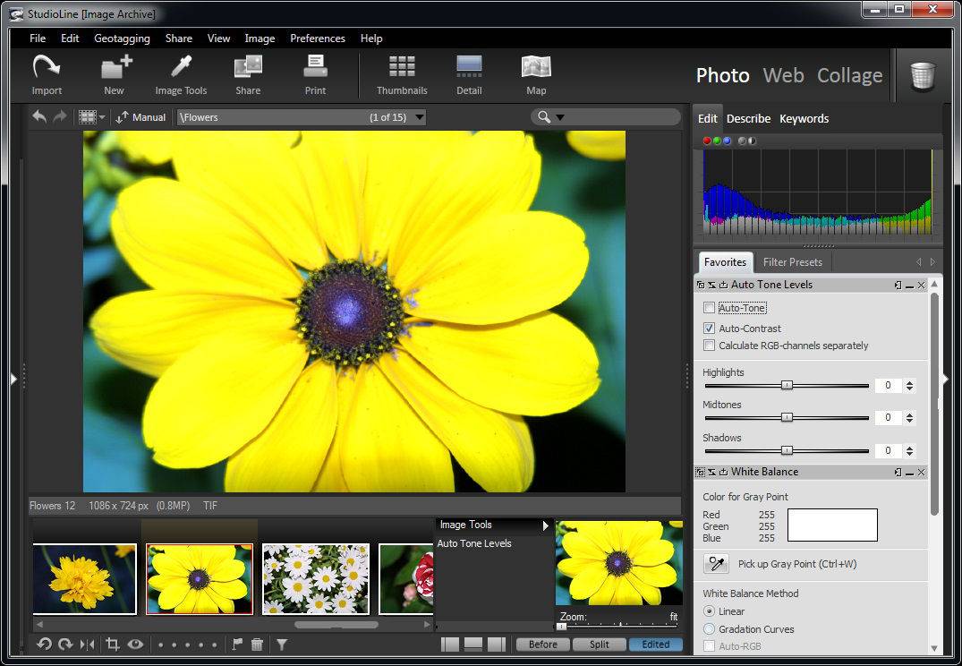 StudioLine Photo Classic скриншот 2