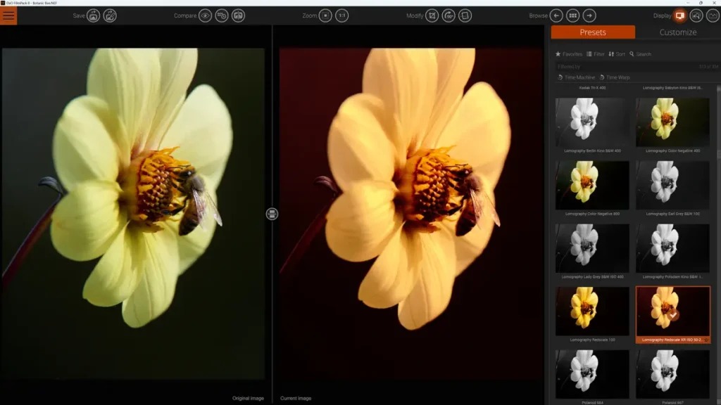 DxO FilmPack — подробный обзор FilmPack 8.9, плёночных рендерингов, RAW и интеграций скриншот 1