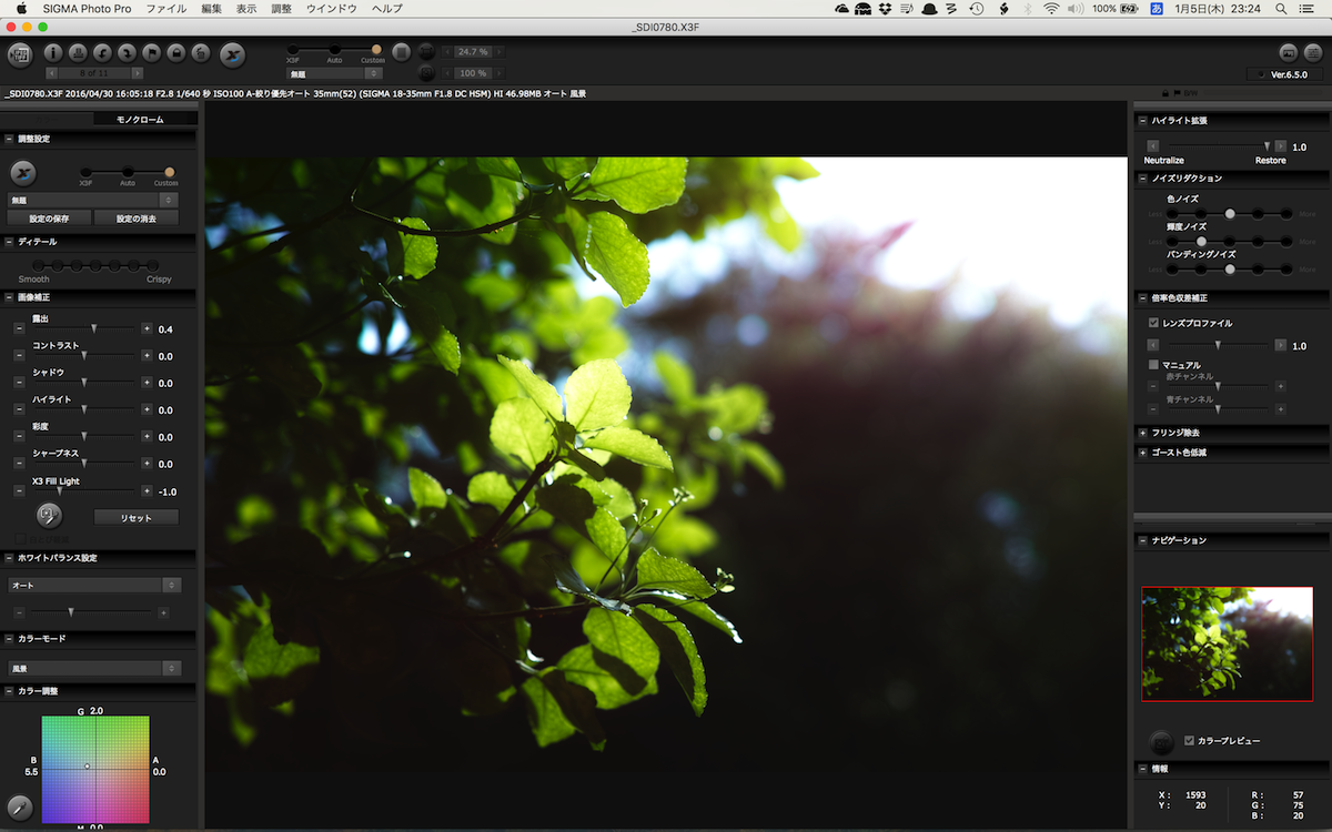 Sigma Photo Pro: подробный обзор проявки X3F, X3I и DNG, интерфейса, версий и рабочего процесса скриншот 6