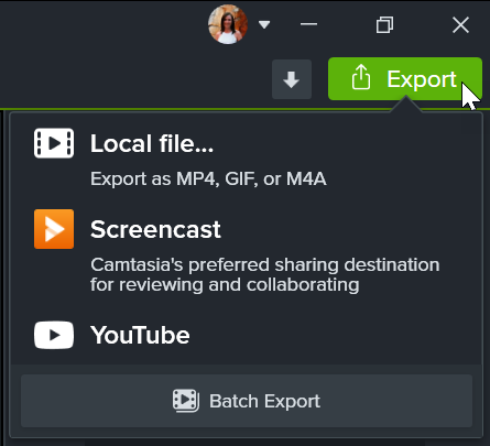 Camtasia скриншот 5