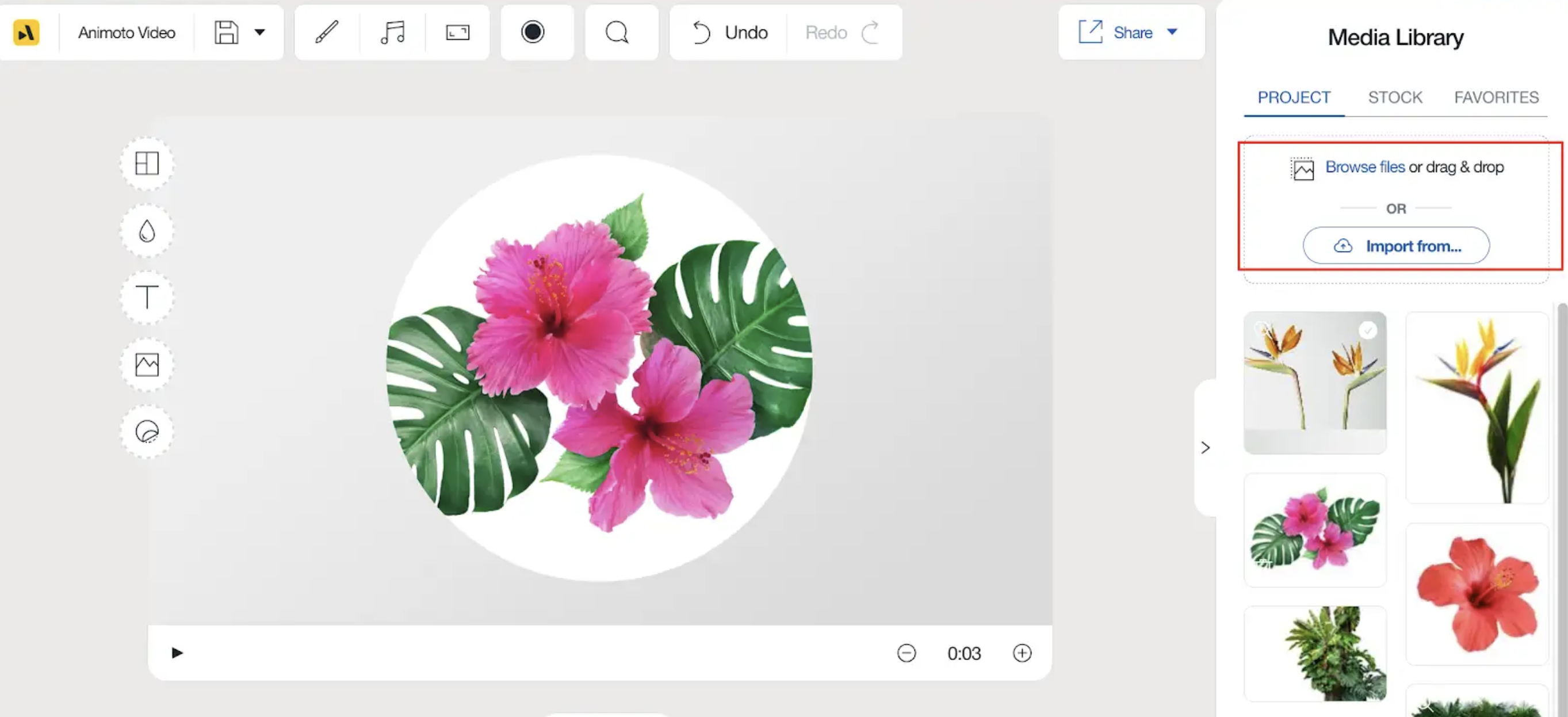 Animoto скриншот 2