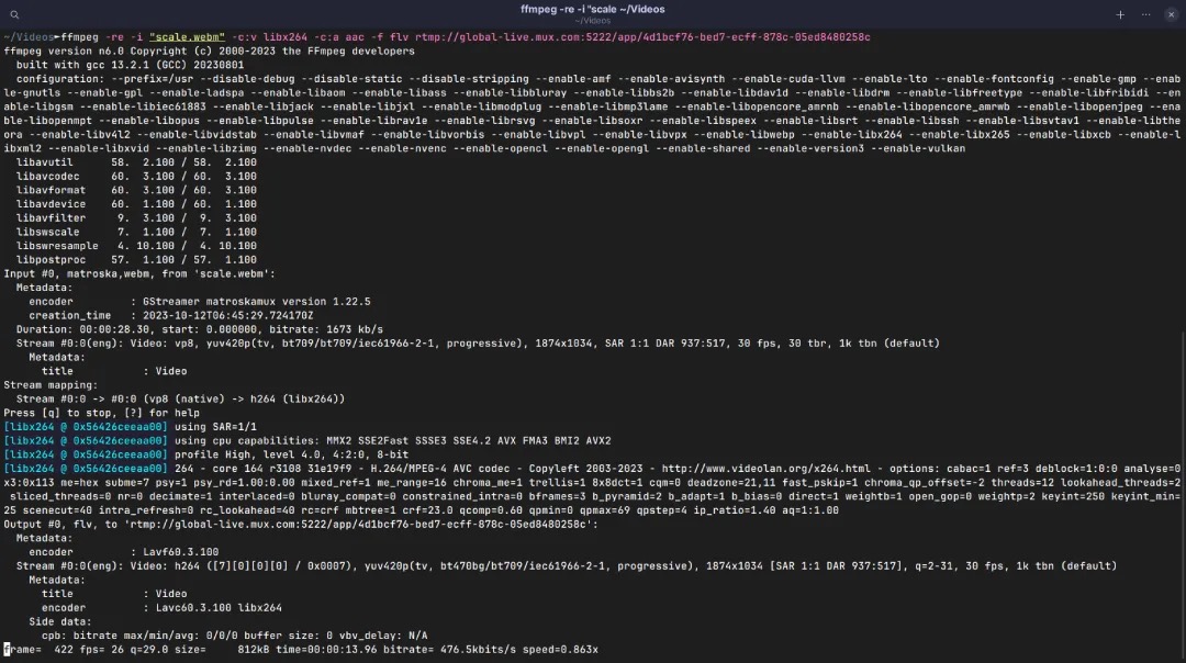 FFmpeg скриншот 4