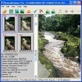 BreezeBrowser Pro скриншот 3