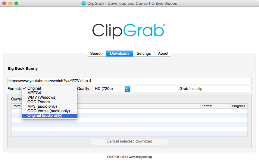 ClipGrab скриншот 4
