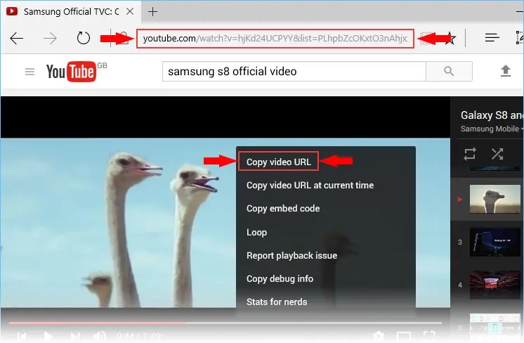 Free Youtube Download скриншот 2