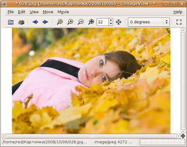 GImageView скриншот 3