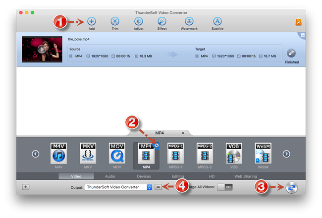 ThunderSoft Video Converter скриншот 1