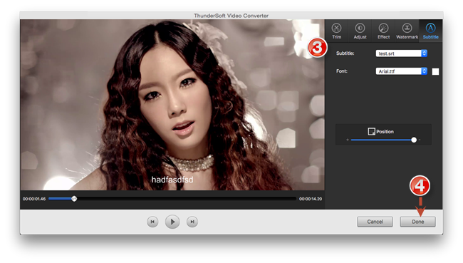 ThunderSoft Video Converter скриншот 10