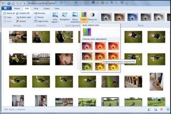 Windows Live Photo Gallery: полный обзор фотоорганайзера Microsoft, интерфейса и возможностей скриншот 6