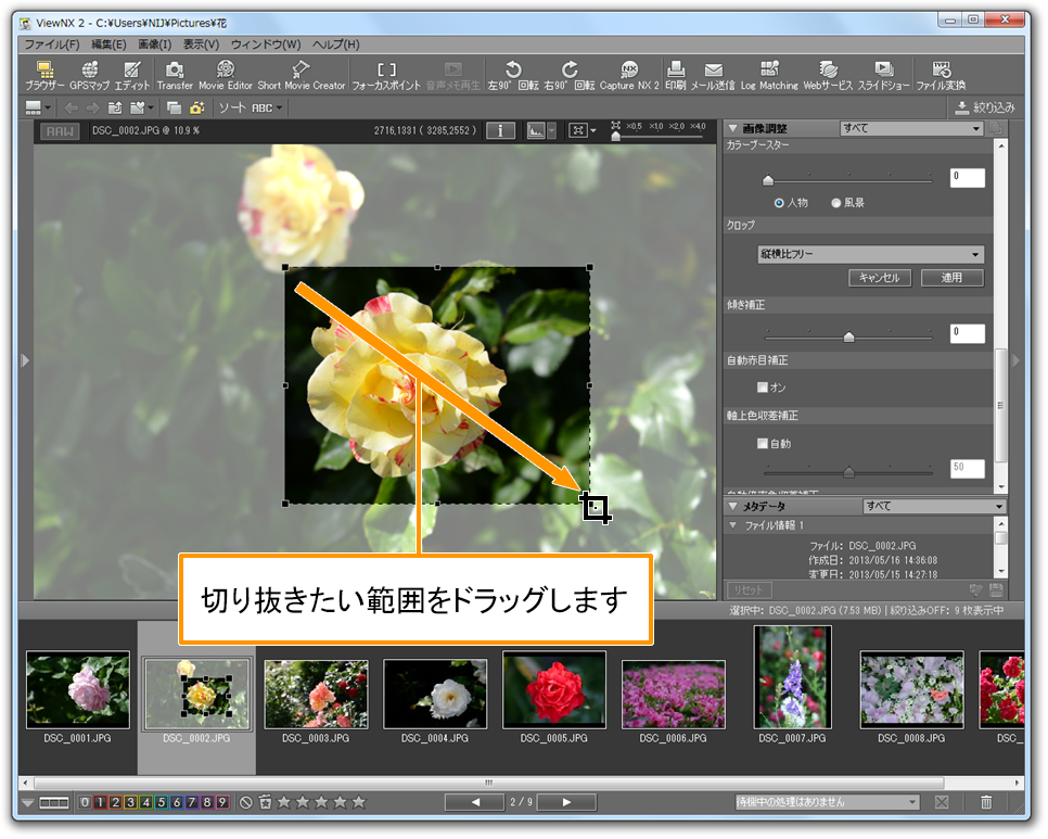 Nikon ViewNX 2: подробный обзор фотоменеджера Nikon для просмотра, RAW-обработки и видео скриншот 5