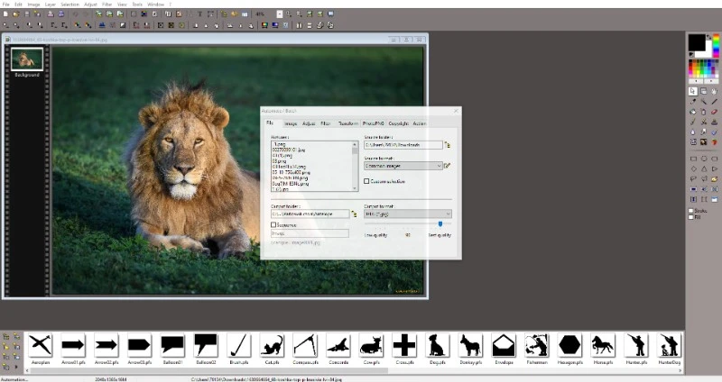 Image Compressor 2008 скриншот 2