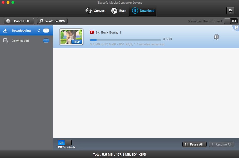 iSkysoft iMedia Converter Deluxe скриншот 10