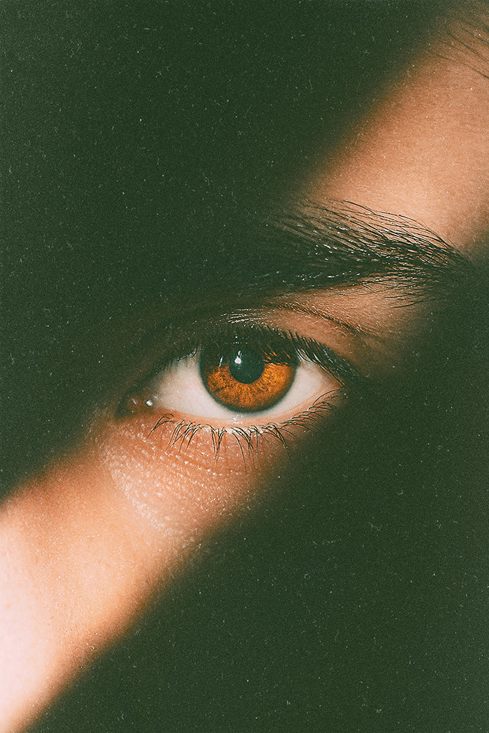 Afterlight скриншот 2