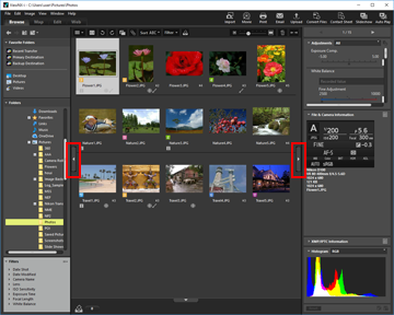 Nikon ViewNX-i: подробное руководство по просмотру, организации и обработке фотографий Nikon скриншот 6