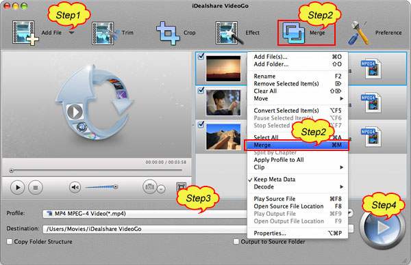 iDealshare VideoGo скриншот 6