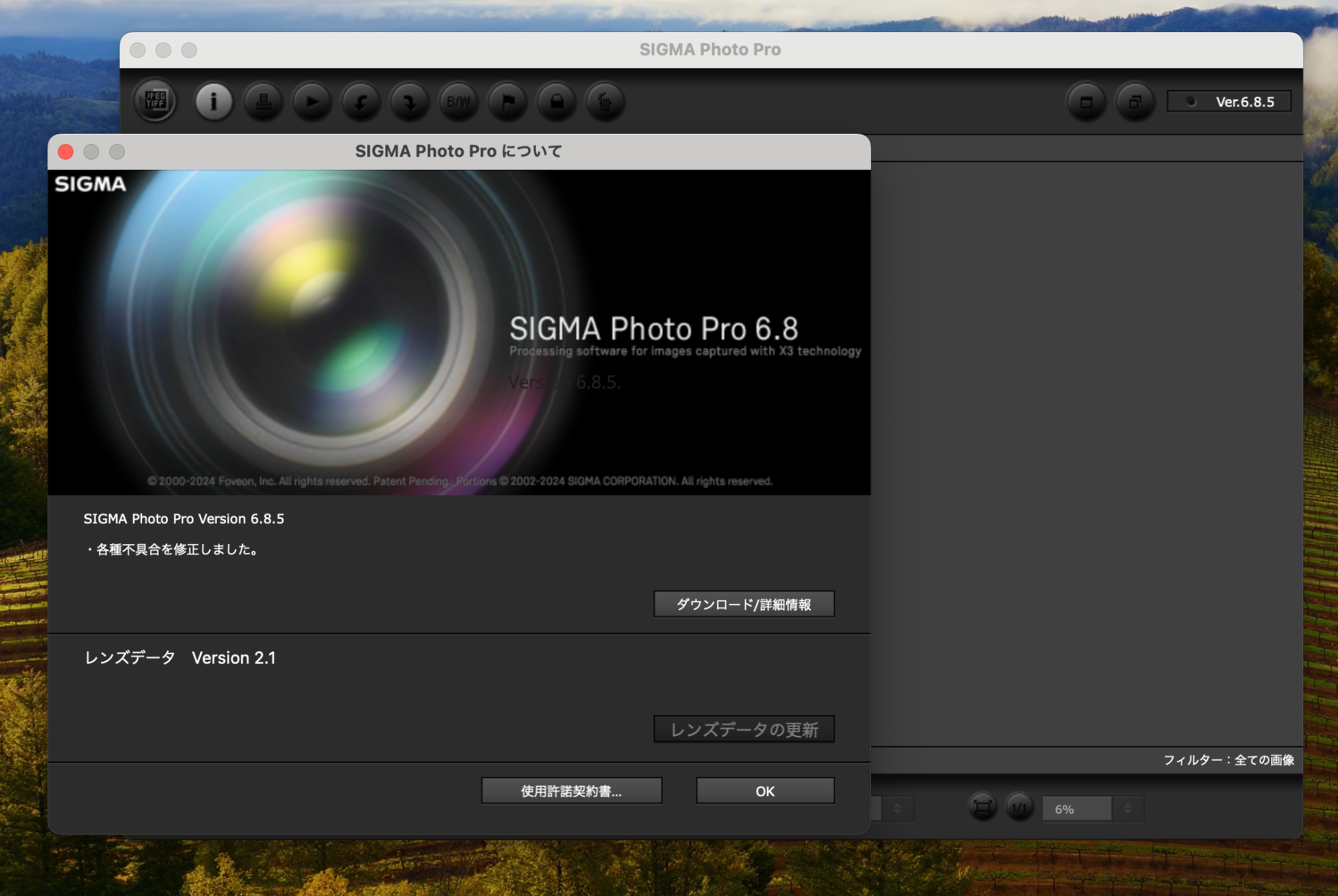 Sigma Photo Pro: подробный обзор проявки X3F, X3I и DNG, интерфейса, версий и рабочего процесса скриншот 5