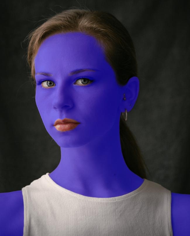 PortraitPro скриншот 4