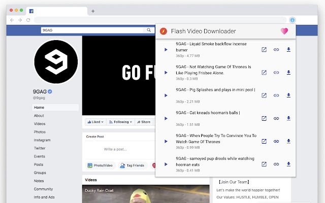 Flash Video Downloader скриншот 1