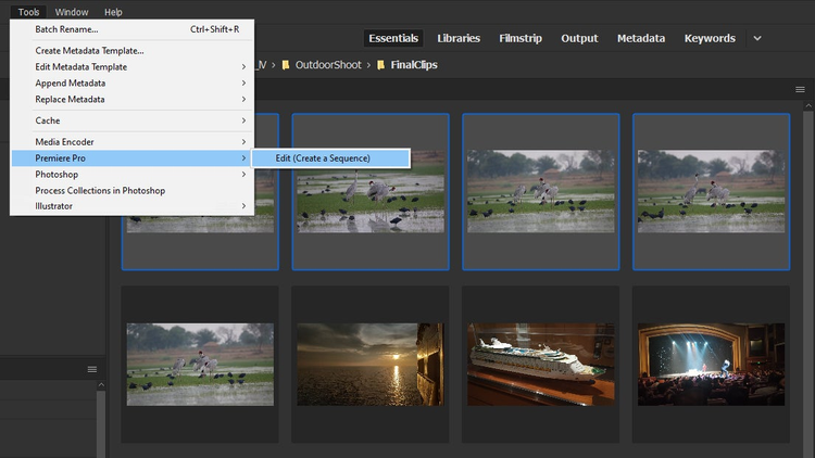 Adobe Bridge скриншот 2