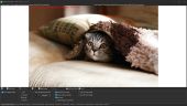 WildBit Viewer скриншот 2