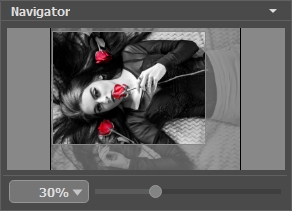 AKVIS Coloriage: полный обзор Coloriage AI 15.7, режимов, лицензий и работы с цветом скриншот 5