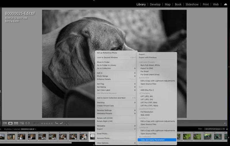 Nik Collection 4 скриншот 2