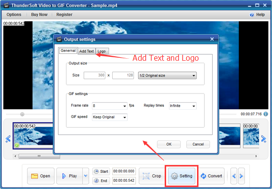 ThunderSoft GIF Converter скриншот 5