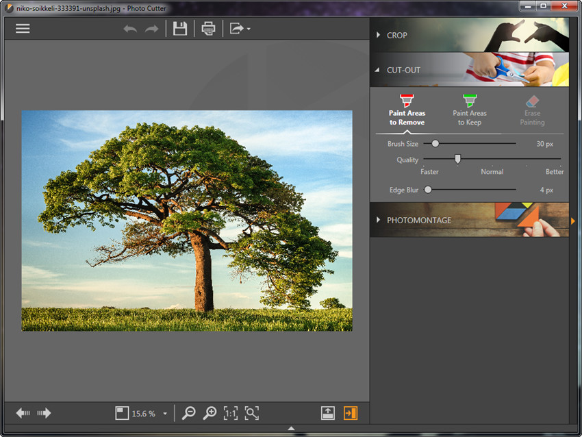 Fotophire Online скриншот 9