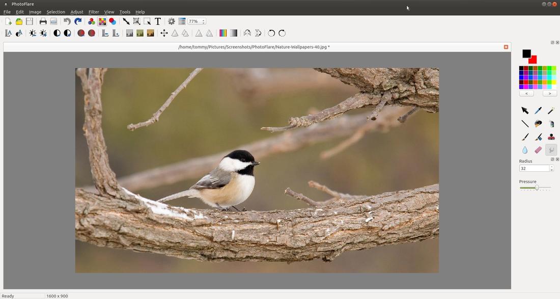 PhotoFlare 1.7.4: подробный обзор редактора изображений, инструментов и ограничений скриншот 19