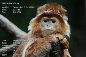Picture Information Extractor скриншот 2
