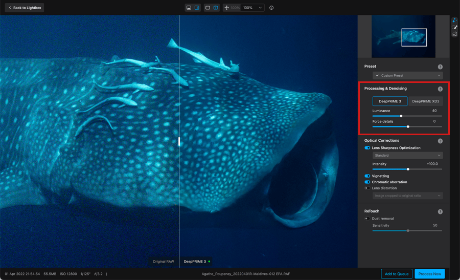 DxO PureRAW скриншот 3