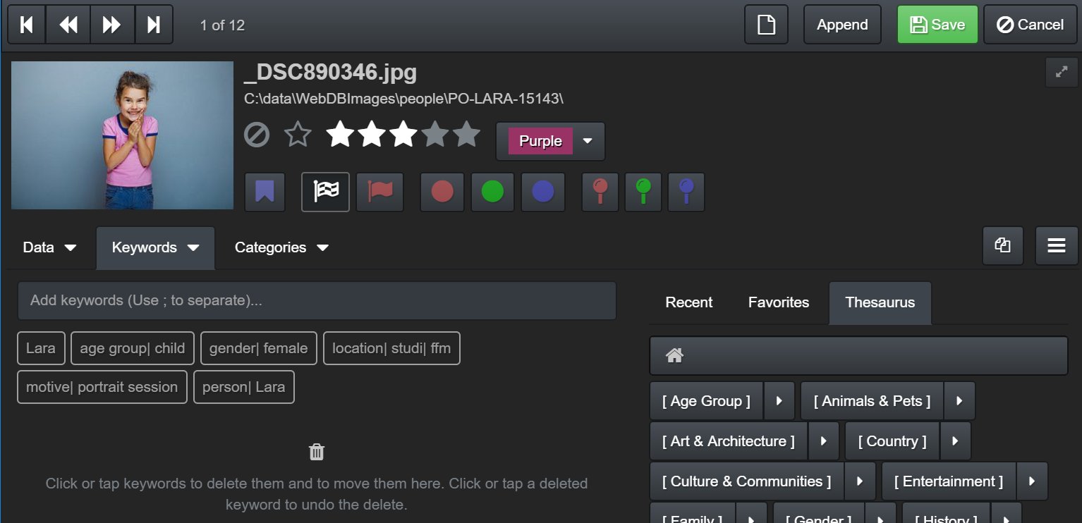IMatch Anywhere: подробный обзор WebServices, WebViewer, лицензий и удалённой работы с каталогом скриншот 8