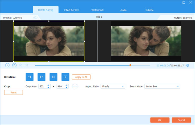 AVAide DVD Ripper скриншот 5