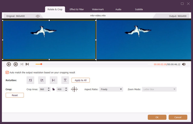 AVAide Video Converter скриншот 2